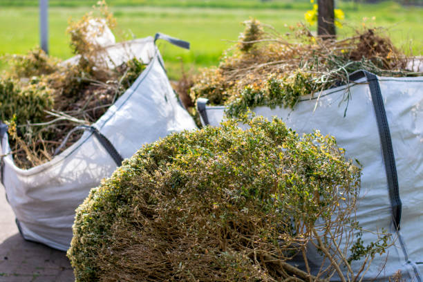 Best Yard Cleanup Services  in Osceola, IN